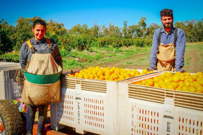 A person and person standing next to a crate of oranges

Description automatically generated